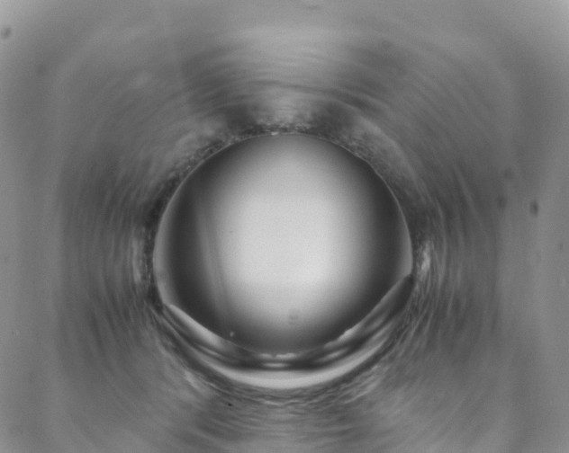 X0000088720416200705311427