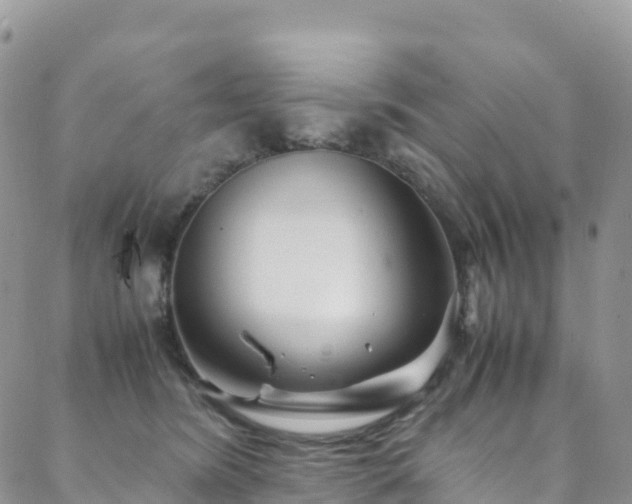 X0000088720420200705311427