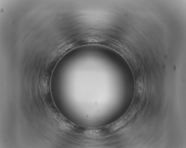 X0000088720422200705311427