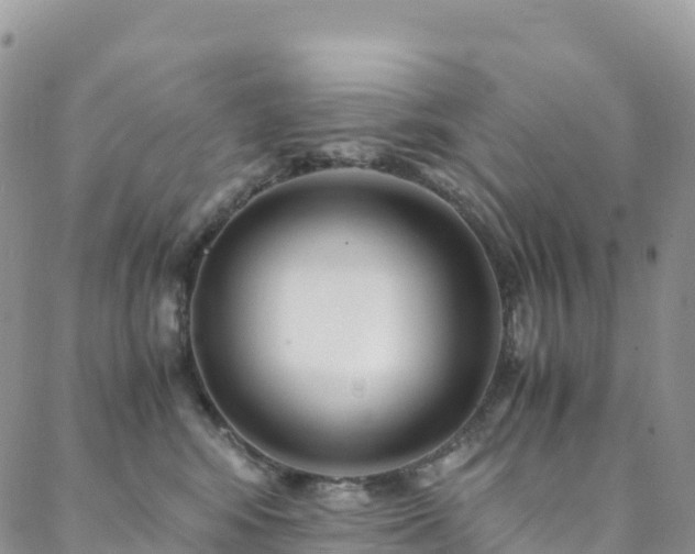 X0000088720424200705311427