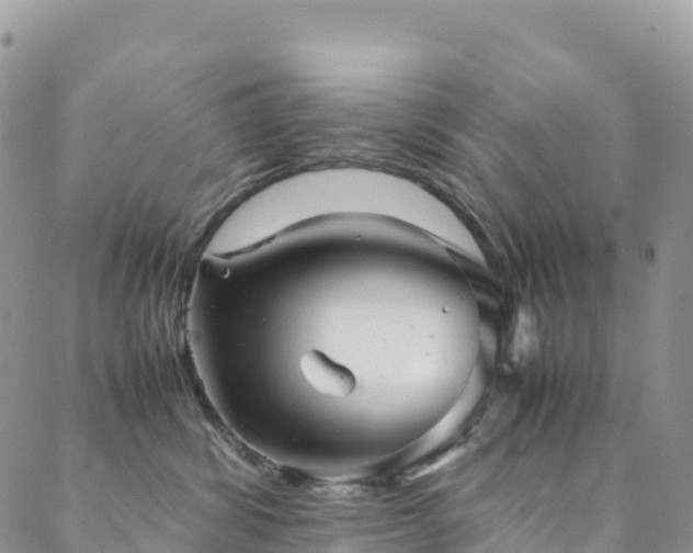 X0000088720428200705311427