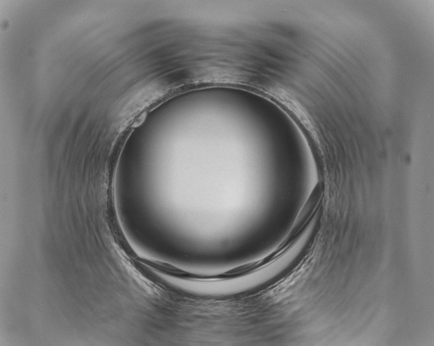 X0000088720437200705311426