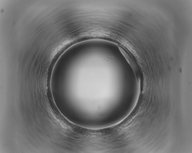 X0000088720438200705311426