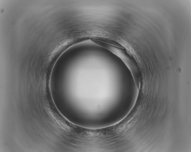 X0000088720442200705311426