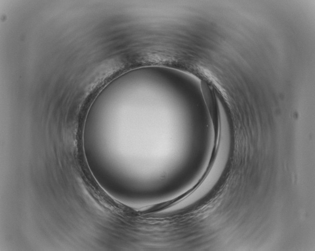 X0000088720443200705311426