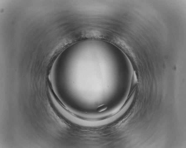 X0000088720449200705311427