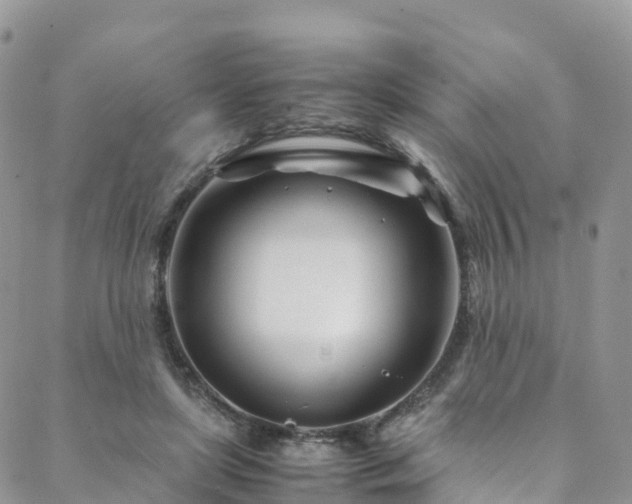 X0000088720451200705311427