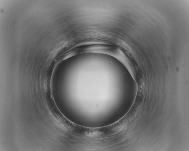 X0000088720452200705311427