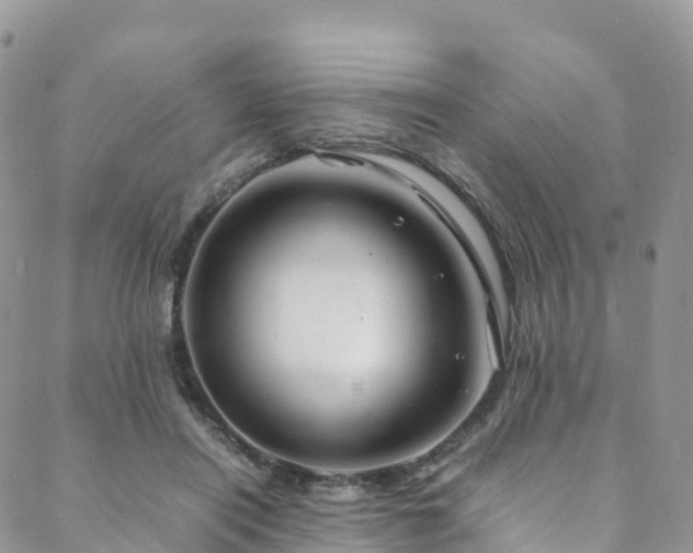 X0000088720454200705311427