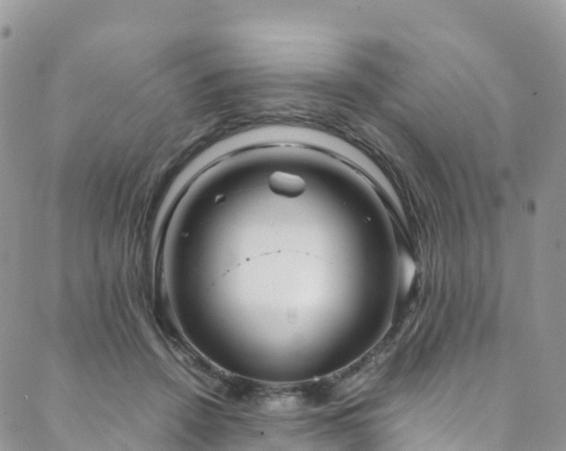 X0000088720456200705311427