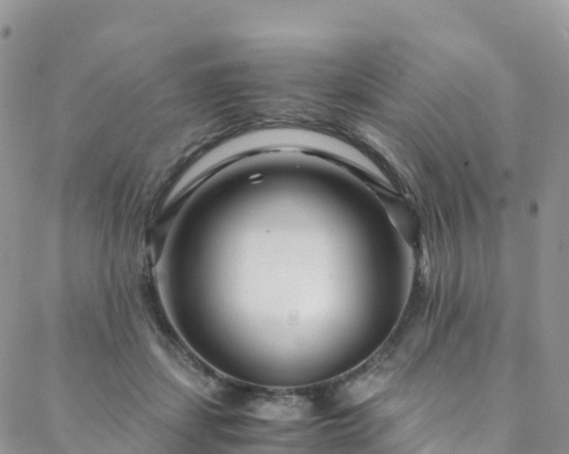 X0000088720459200705311427