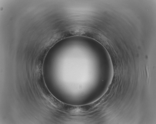 X0000088720460200705311427