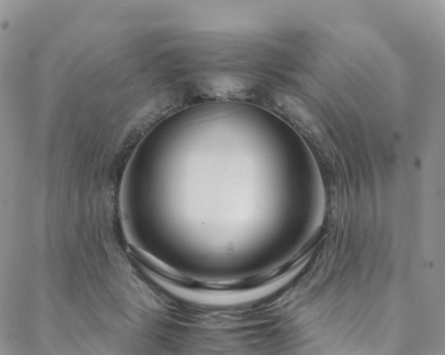 X0000088720461200705311427