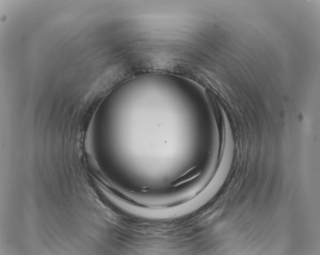 X0000088720462200705311427