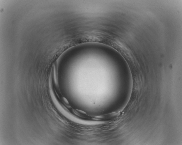 X0000088720465200705311427