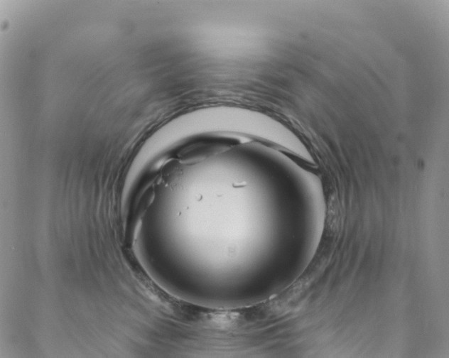 X0000088720474200705311427