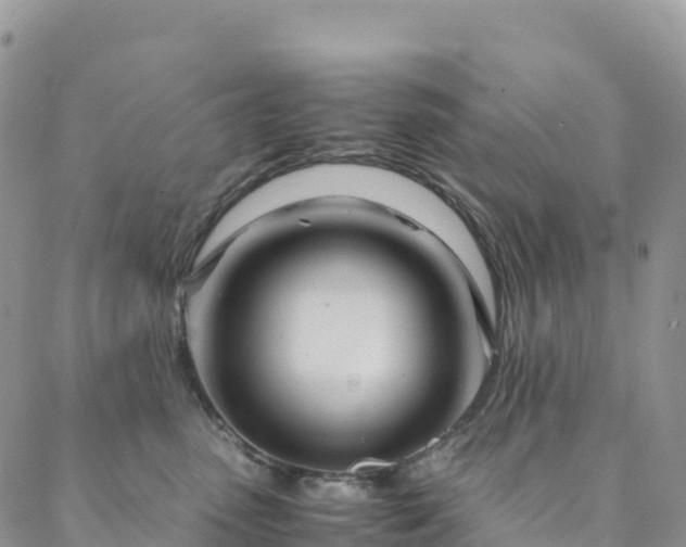 X0000088720475200705311427