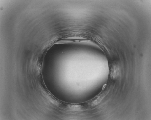 X0000088720476200705311427
