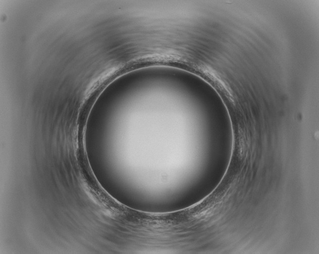 X0000088720486200705311426