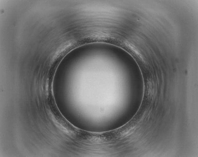 X0000088720494200705311426