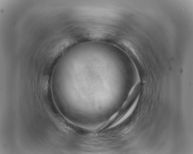 X0000088720495200705311426
