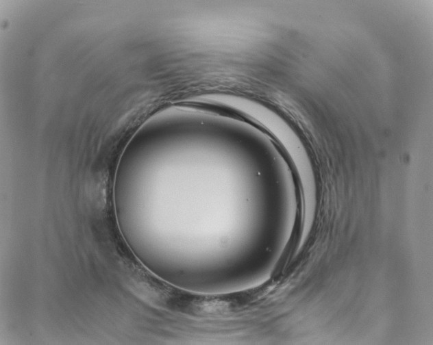 X0000088720501200705311426