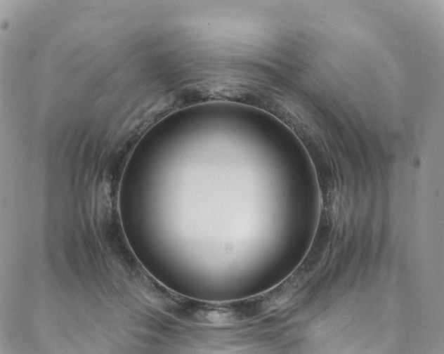X0000088720506200705311426