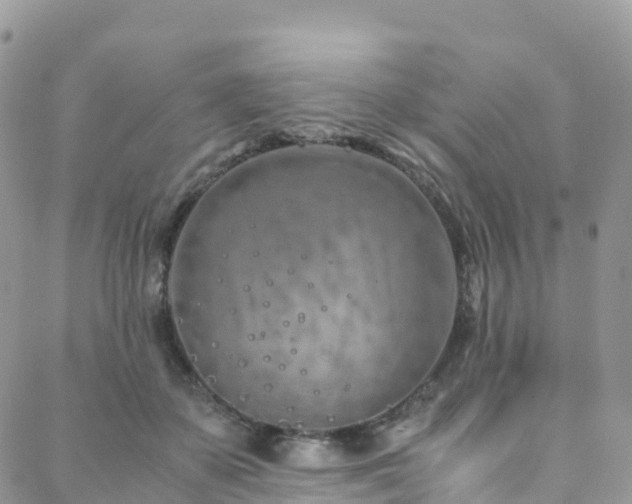 X0000088720507200705311426