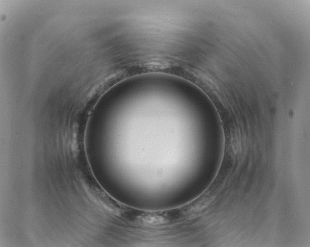 X0000088720512200705311426