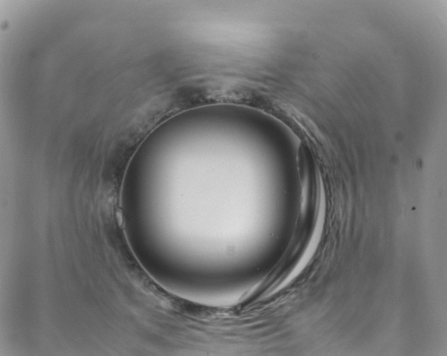 X0000088720513200705311426