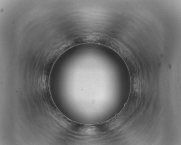 X0000088720514200705311426
