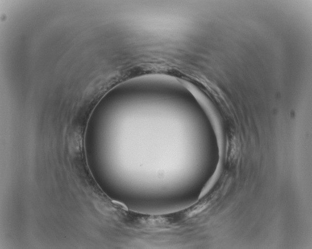 X0000088720517200705311426