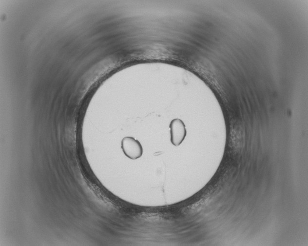 X0000088720534200705311425