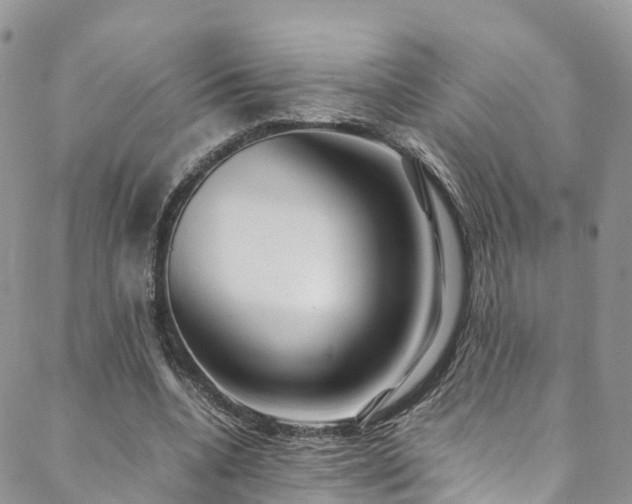 X0000088720536200705311425