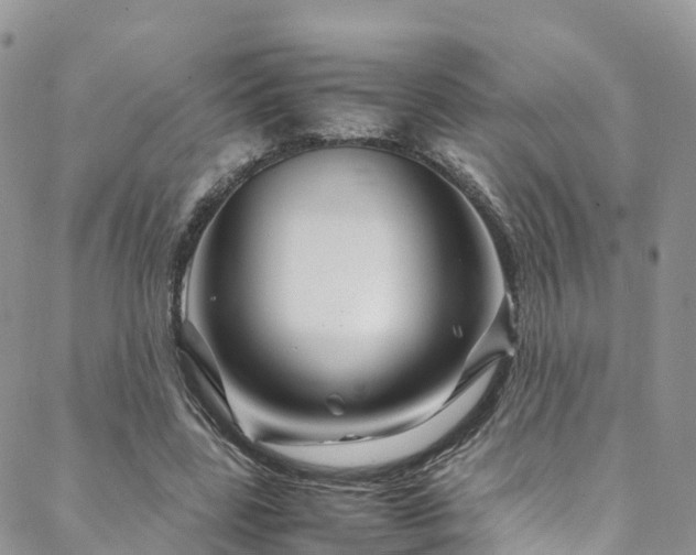 X0000088720539200705311425