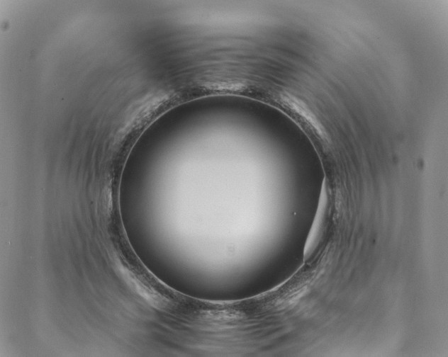 X0000088720541200705311425