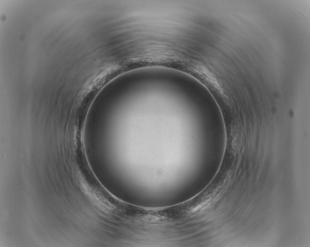 X0000088720542200705311425