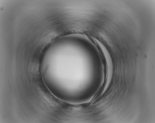 X0000088720548200705311425