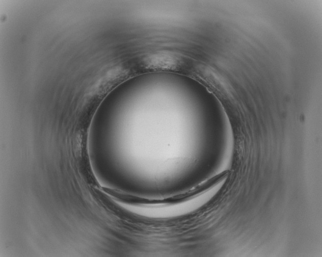 X0000088720551200705311425