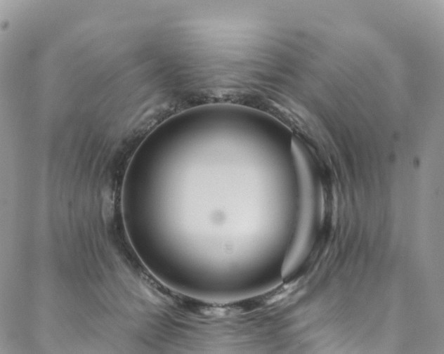 X0000088720558200705311425