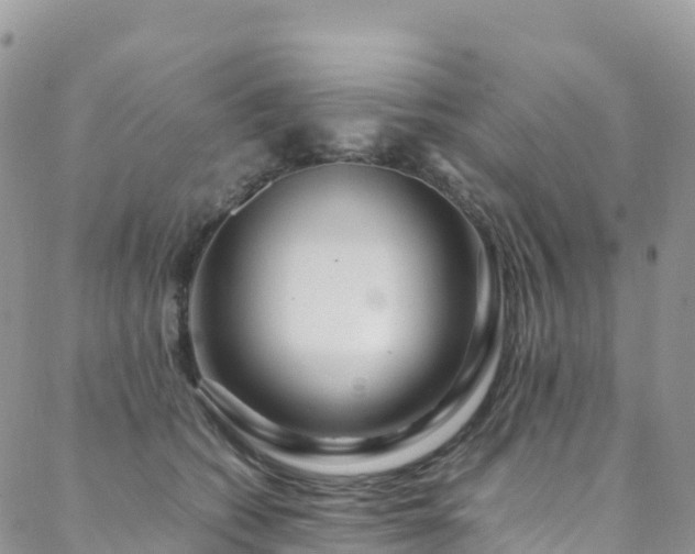 X0000088720562200705311425