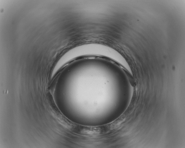 X0000088720563200705311425