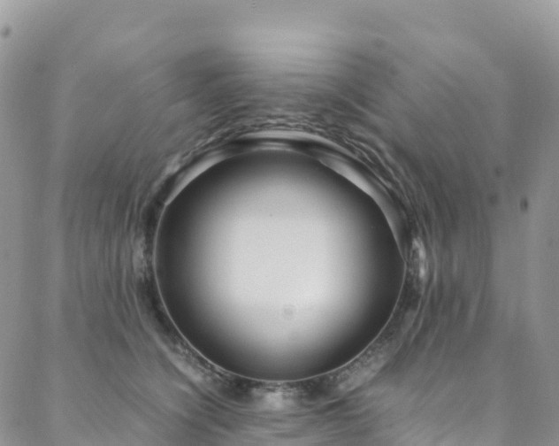 X0000088720564200705311425