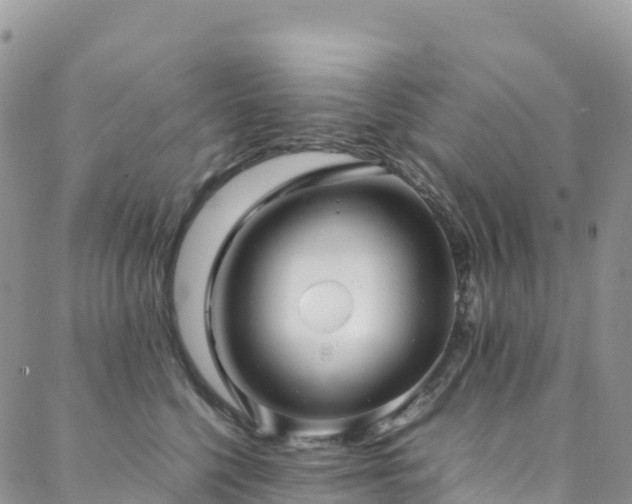 X0000088720568200705311425