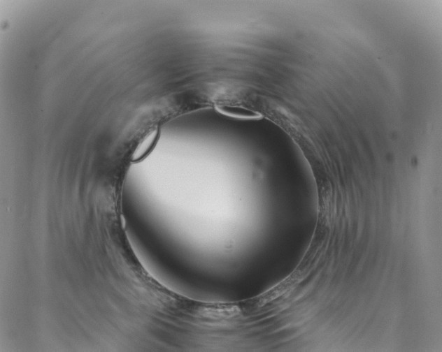 X0000088720571200705311425
