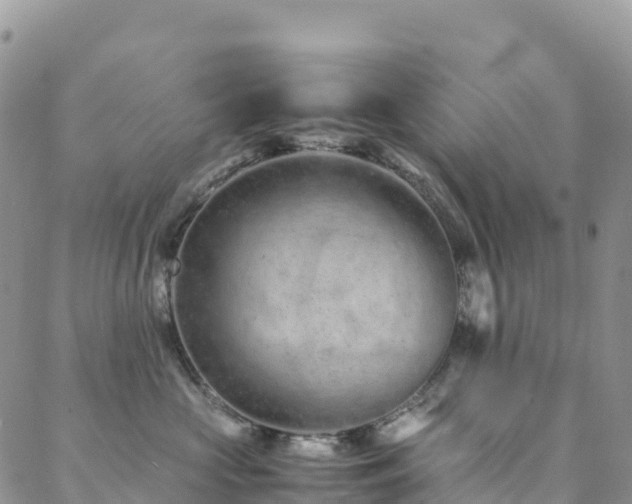 X0000088720573200705311425
