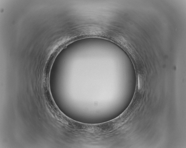 X0000088720579200705311425