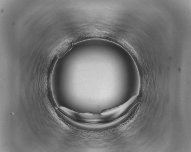 X0000088720581200705311425