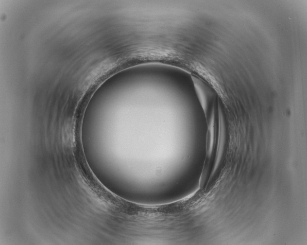 X0000088720582200705311425