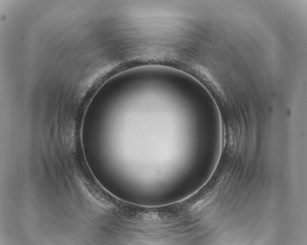 X0000088720588200705311425